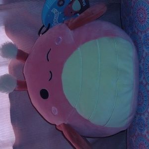 (Rare silver tag) Shane the Red Grasshopper Squishmallow 7.5in
